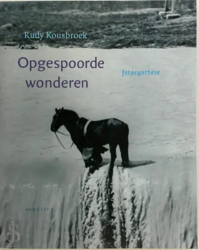 Opgespoorde wonderen - R. Kousbroek