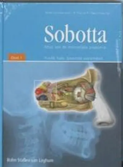 Sobotta atlas van de menselijke anatomie. - J. Sobotta