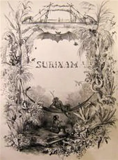 Voyage a Surinam, description des possessions Néerlandaises dans la Guyane - P.J. Benoit