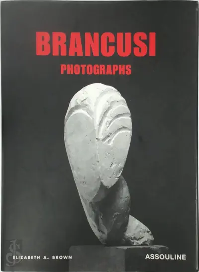 Brancusi - Elizabeth A. Brown