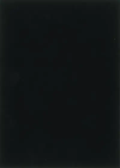 Black Celebration - M. Doolaard, E. Min