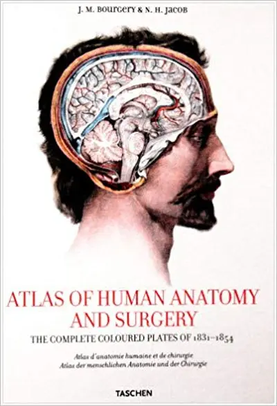 Atlas of Human Anatomy and Surgery - Jean Marc Bourgery