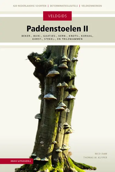 Paddenstoelen II - Thomas Kuyper, Nico Dam