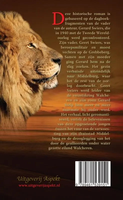 Tussen water en vuur - Robbert Jan Swiers 2