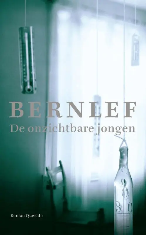 De onzichtbare jongen - Bernlef 1