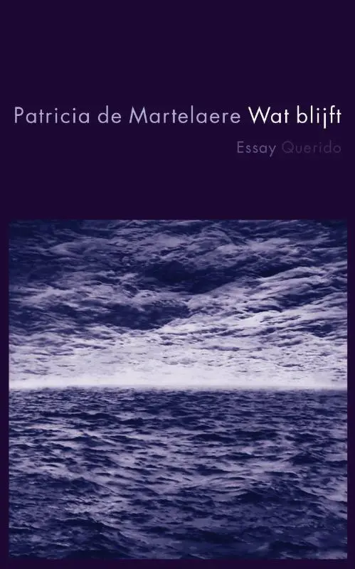 Wat blijft - Patricia de Martelaere 1