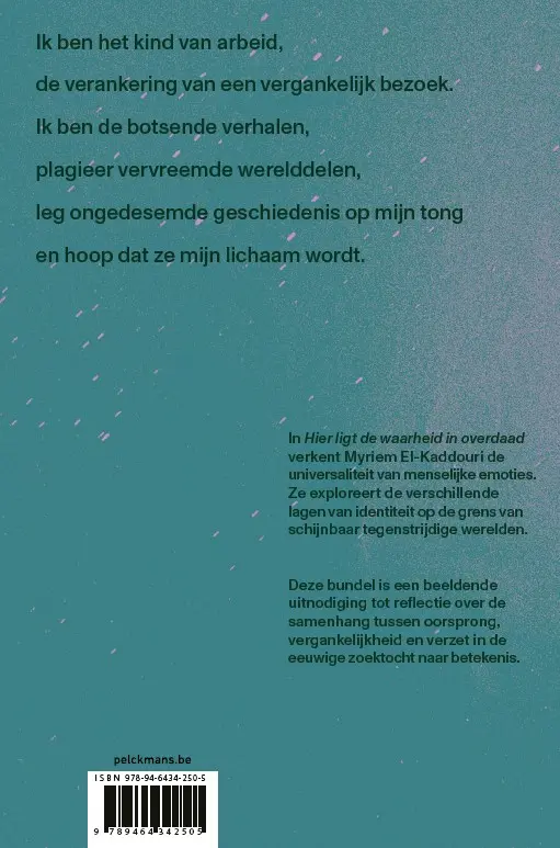 Hier ligt de waarheid in overdaad - Myriem El-Kaddouri 2