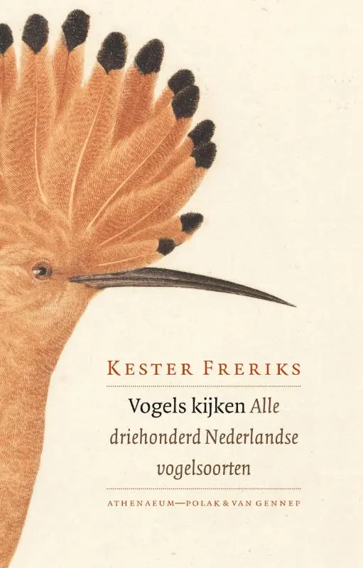 Vogels kijken - Kester Freriks 1