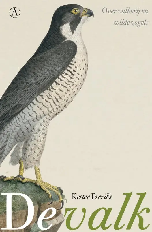 De valk - Kester Freriks 1