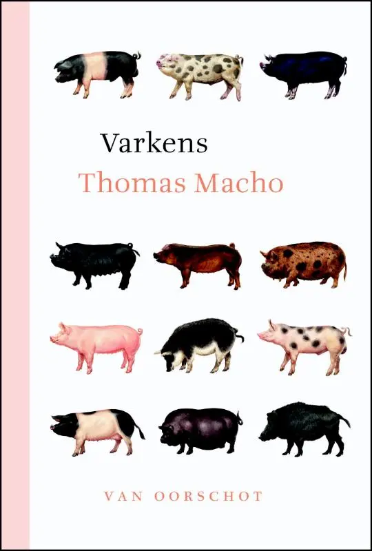 Varkens - Thomas Macho 1