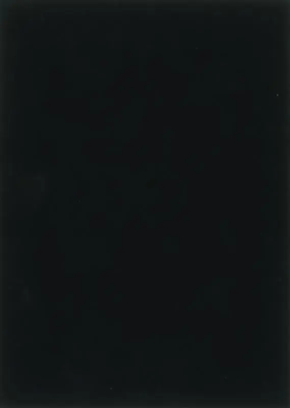 Black Celebration - M. Doolaard, E. Min 1