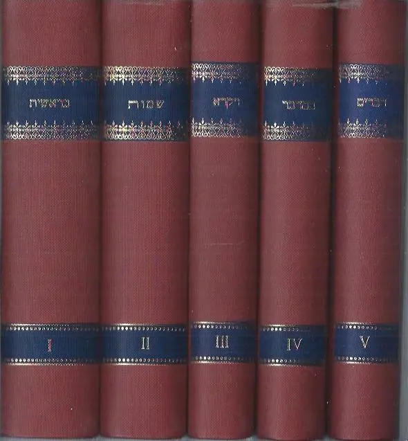 Nederlandsche vertaling van den Pentateuch benevens eene Nederlandsche verklarende vertaling van Rashie's Pentateuch-commentaar - 1