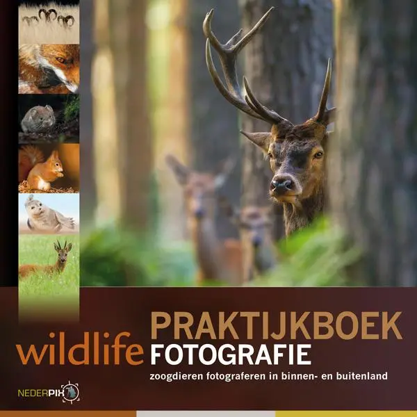Praktijkboek wildlife fotografie - Jan Vermeer, Bob Luijks, Jeroen Stel, Paul van Hoof, Marijn Heuts 1