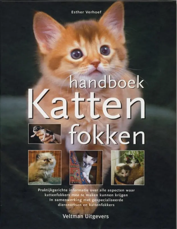 Handboek katten fokken - Esther Verhoef 1