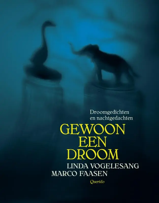 Gewoon een droom - Linda Vogelesang 1