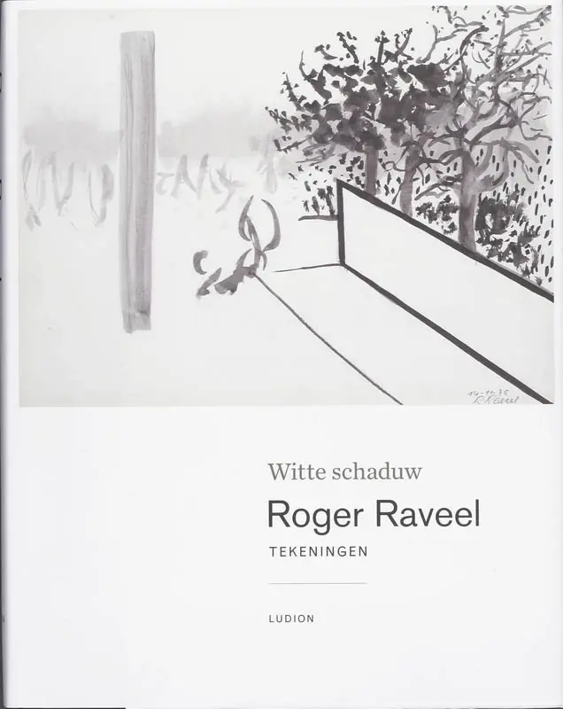 Roger Raveel - Witte schaduw - Bart De Baere 1