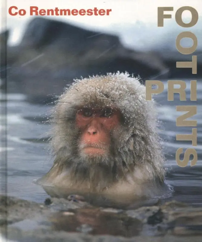 Co Rentmeester - Co Rentmeester, Hans Rooseboom 1