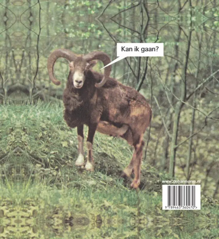 Het eeuwig jeukende zelf - Gummbah 2