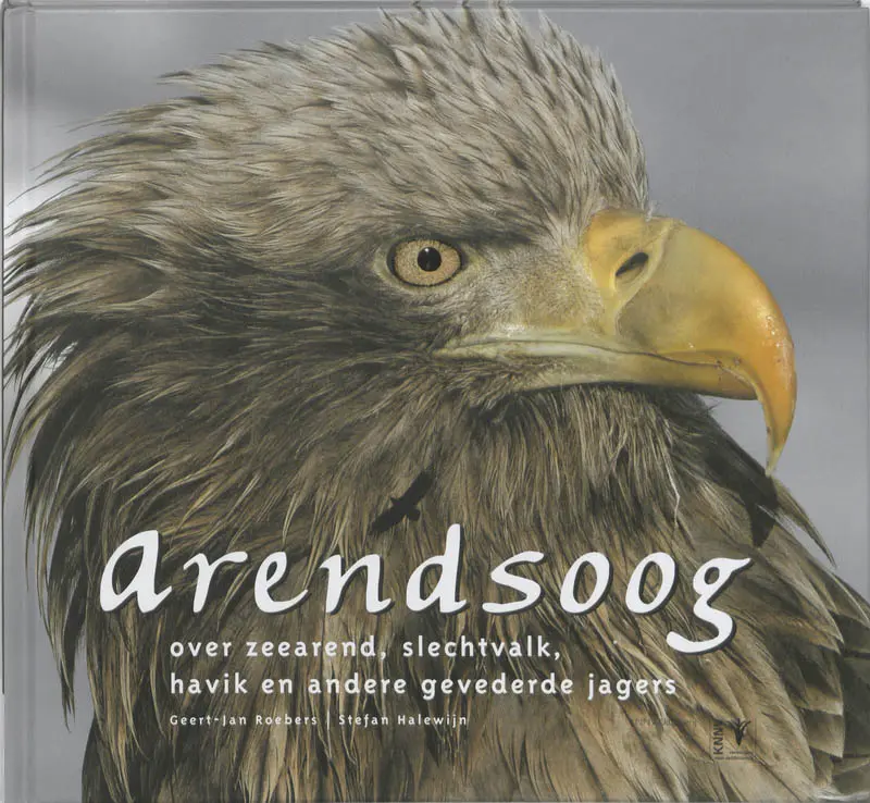 Arendsoog - Geert-Jan Roebers 1