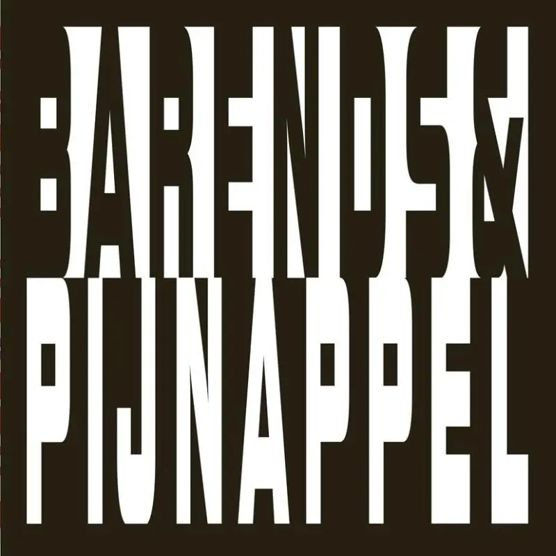 Elastic graphics - Henrik Barends, Anneke Pijnappel, Eric Min 1