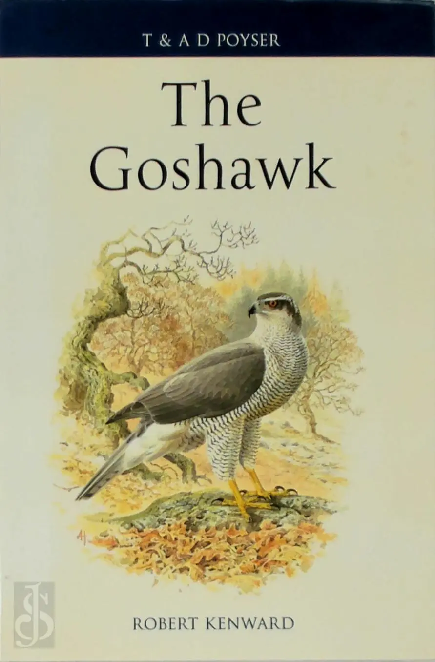 The Goshawk - Robert Kenward 1