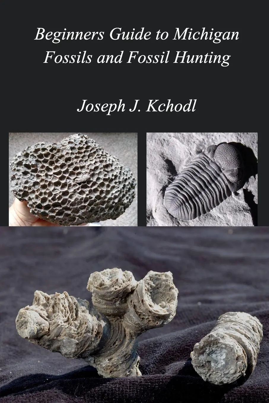 Beginners Guide to Michigan Fossils and Fossil Hunting - Joseph "PaleoJoe" Kchodl 1