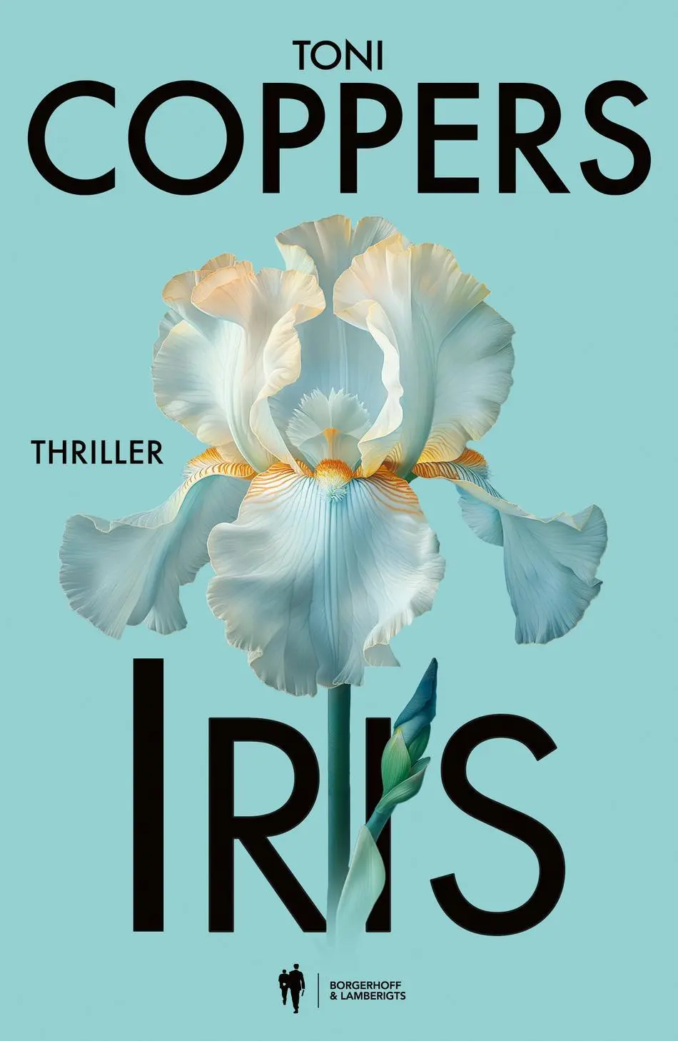 Iris - Toni Coppers 1