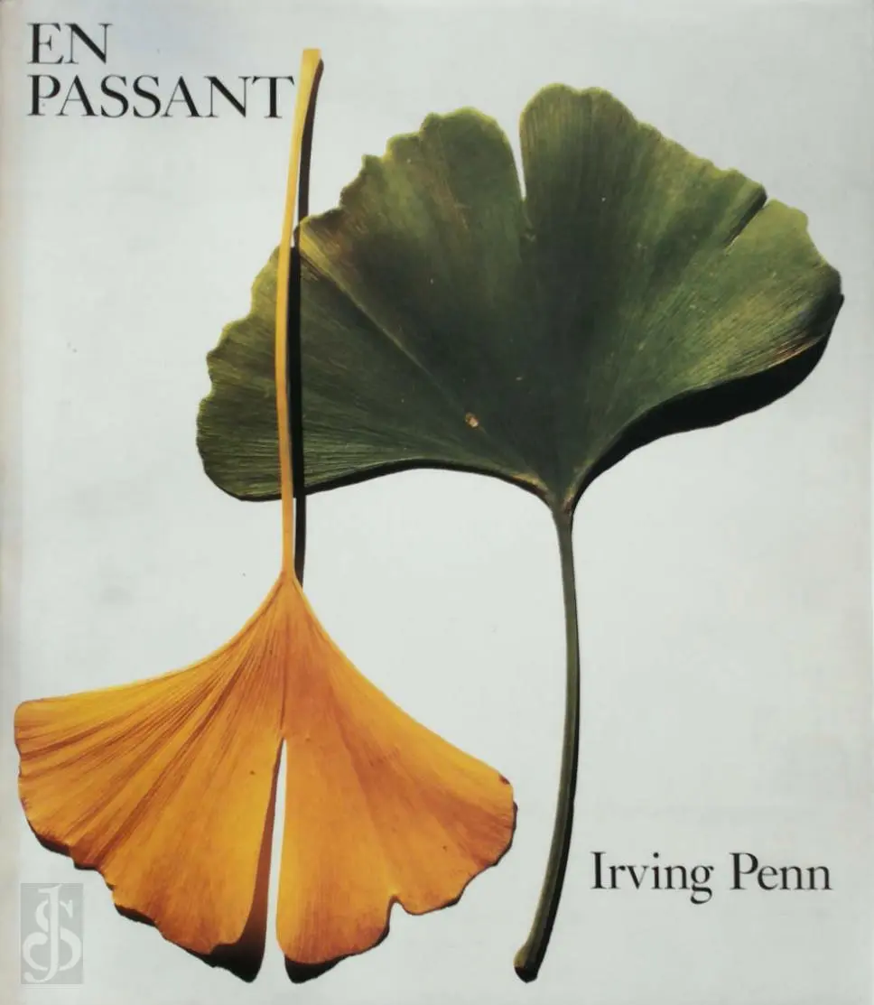 En passant - mémoires de travail - Irving Penn, Alexandra Arrowsmith, Nicola Majocchi, Alexander Liberman [Introd.] 1